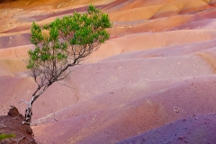 0011-Mauritius-19072011