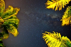 0012-Mauritius-20072011