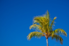 0014-Mauritius-22072011