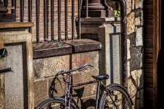 0029-Mauritius-01082011