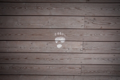 0033-03082016-Norwegen2016