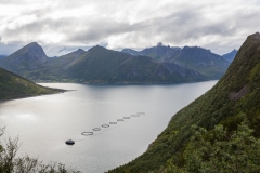 0104-07082016-Norwegen2016