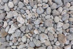 0187-13082016-Norwegen2016