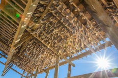 0221-14082016-Norwegen2016