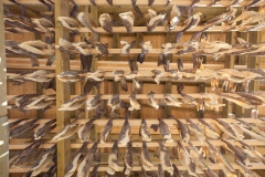 0224-14082016-Norwegen2016