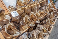 0229-14082016-Norwegen2016