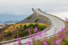 0316-20082016-Norwegen2016