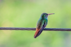 0013-PanamaPeru-25112013