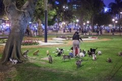 0003-aPanamaPeru-07112013