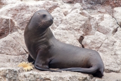 0006-aPanamaPeru-08112013