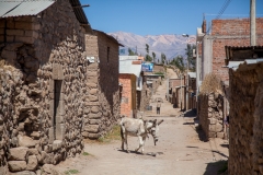 0017-aPanamaPeru-12112013