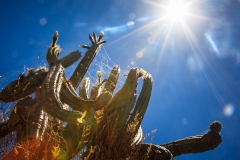 0020-aPanamaPeru-12112013