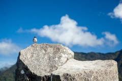 0032-aPanamaPeru-18112013