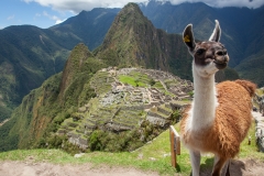 0036-aPanamaPeru-18112013