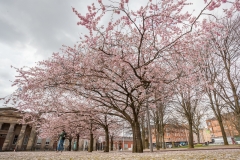 00013_Schottland2016