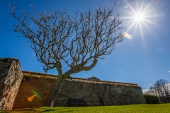 00028_Schottland2016