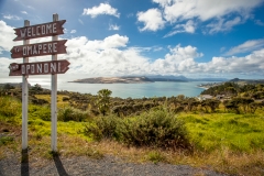 0001-Newzealand-11032010