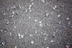 0002-Newzealand-11032010