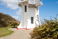 0004-Newzealand-12032010