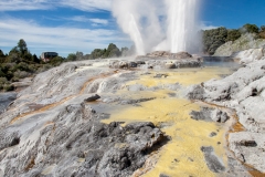 0009-Newzealand-14032010