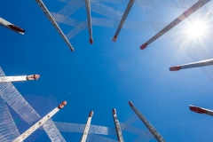 0011-Newzealand-14032010