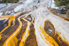 0012-Newzealand-15032010