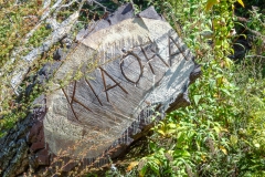 0013-Newzealand-15032010