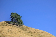 0014-Newzealand-15032010