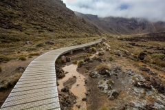 0016-Newzealand-15032010