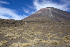 0017-Newzealand-16032010