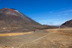 0018-Newzealand-16032010