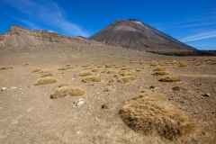 0019-Newzealand-16032010