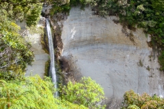 0020-Newzealand-17032010