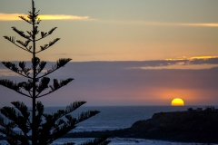 0021-Newzealand-17032010