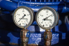 0022-Newzealand-18032010