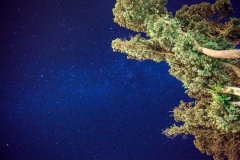 0031-Newzealand-20032010