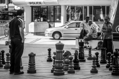 0033-Newzealand-22032010