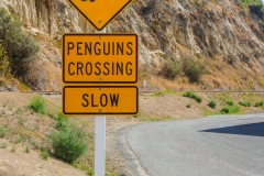 0034-Newzealand-23032010