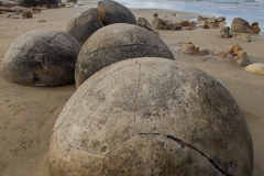 0035-Newzealand-23032010