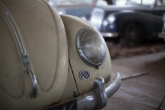 0038-Newzealand-24032010