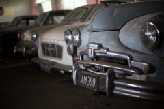 0039-Newzealand-24032010