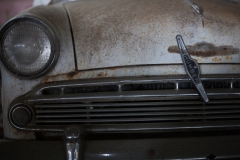 0040-Newzealand-24032010