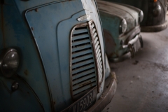 0041-Newzealand-24032010