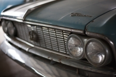 0043-Newzealand-24032010