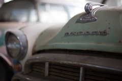 0044-Newzealand-24032010