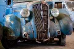 0048-Newzealand-24032010