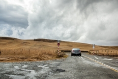 0050-Newzealand-24032010