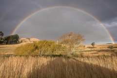 0052-Newzealand-24032010