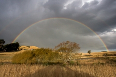 0053-Newzealand-24032010