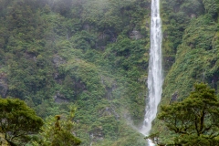 0055-Newzealand-26032010